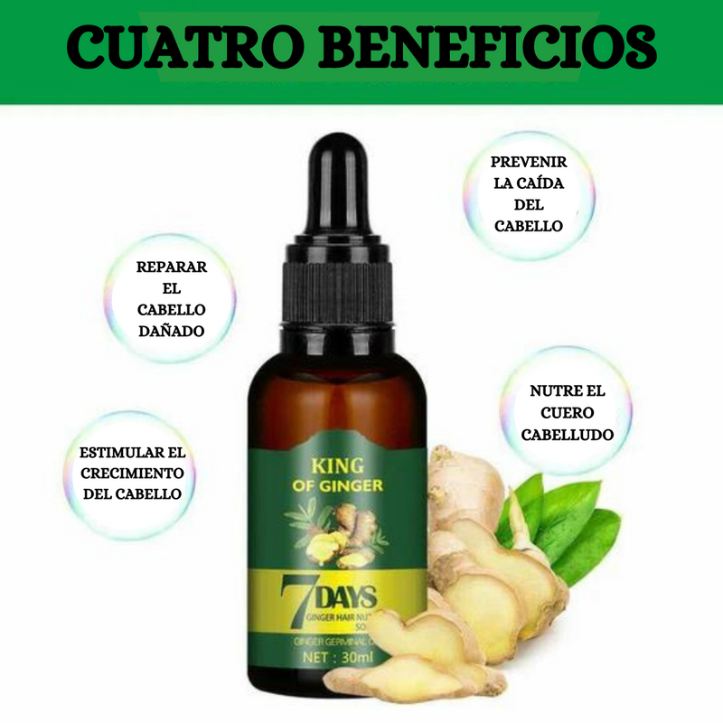 Majestad de Jengibre para Cabello y Barba